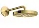 AXOR-HG-AXOR-One-Kopfbrause-280-1jet-mit-Brausearm-Polished-Gold-Optic-48491990 gallery number 1